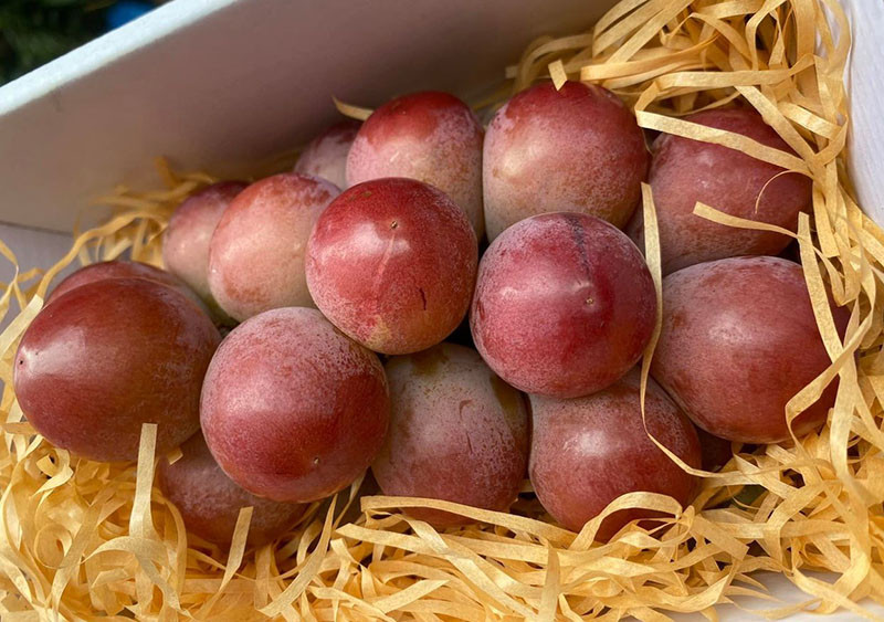 5 loại trái cây đắt nhất thế giới: Một quả đầy ở Việt Nam nhưng nước ngoài bán cả tỷ đồng/cặp? - ảnh 3