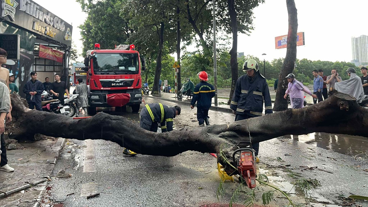 Siêu bão đổ bộ khiến Hà Nội mưa to, cây ngã gây thương vong - ảnh 2