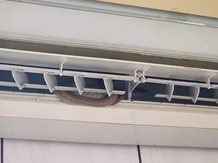 Cô gái tá hỏa khi vệ sinh máy lạnh tại nhà và phát hiện rắn hoang đang trú ẩn. (Nguồn: Internet)