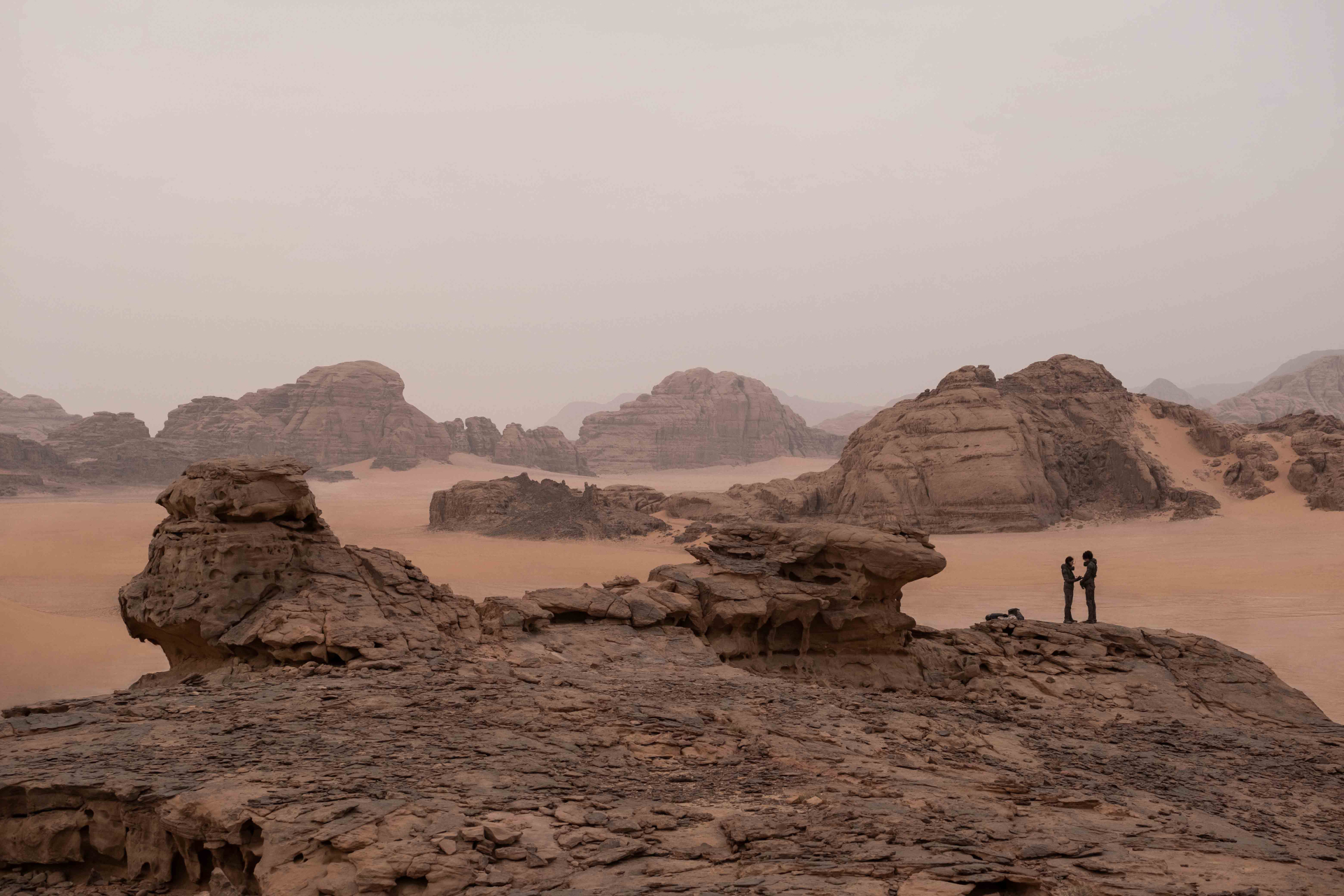 Dune: Hành Tinh Cát - Thế giới kỳ vĩ của Dune và bộ óc thiên tài của nhà văn Frank Herbert - ảnh 5