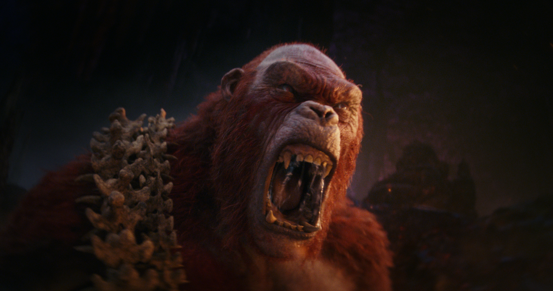 Godzilla x Kong: Đế Chế Mới - Gặp gỡ các nhân vật chính trong phần phim mới về hai titan vĩ đại bậc nhất - ảnh 3