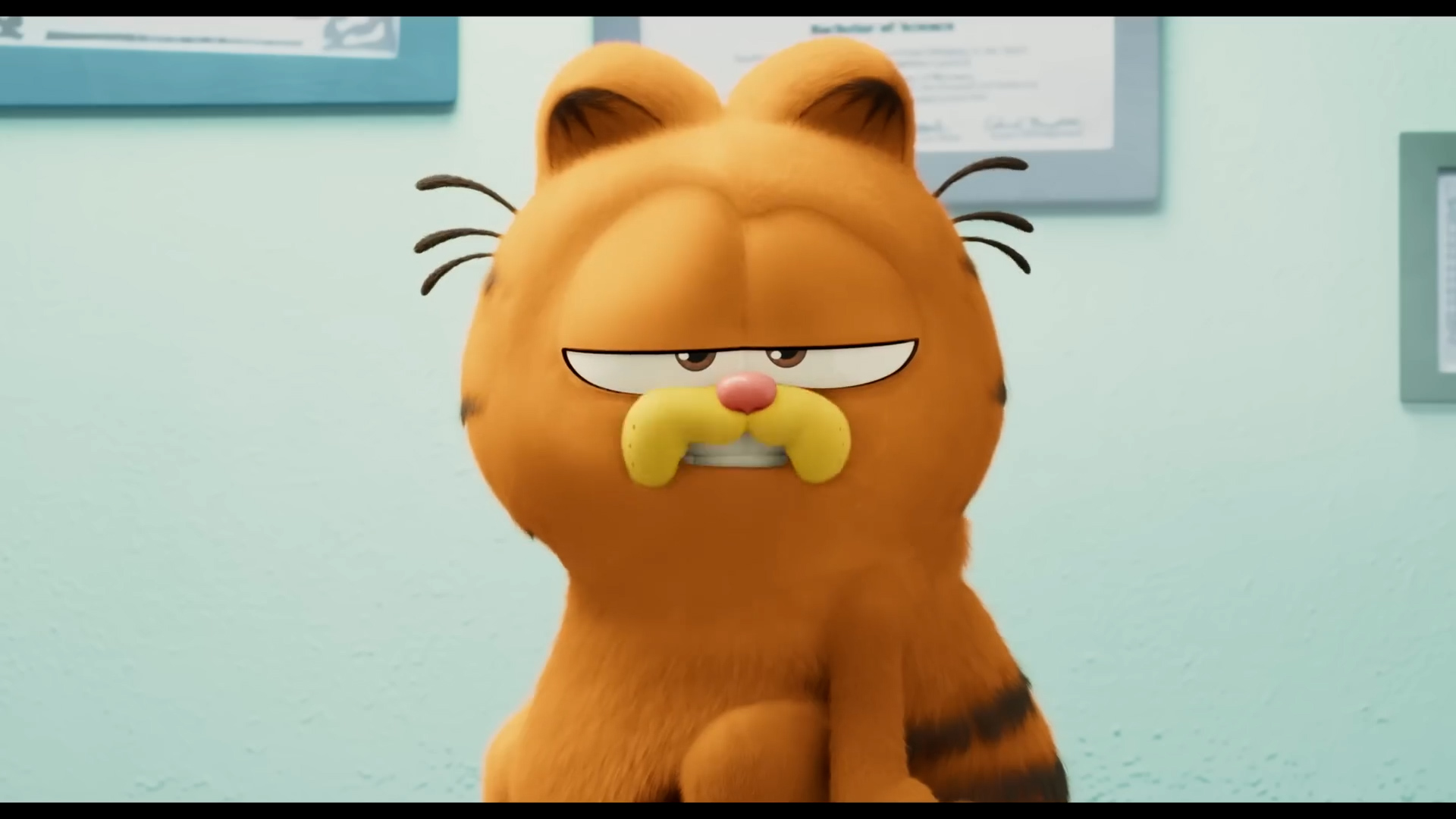 101 biểu cảm gây thương nhớ của Garfield và đồng bọn - ảnh 5