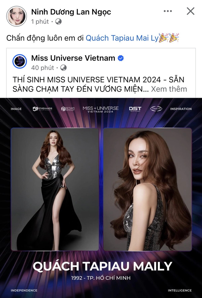 Một 'Chị Đẹp' bất ngờ tham gia Miss Universe Vietnam 2024, được Hen Niê và dàn Chị Đẹp hậu thuẫn - ảnh 3