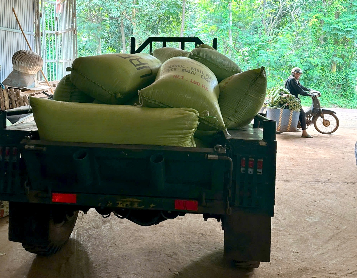 Hoa hậu H’Hen Niê cùng gia đình ủng hộ toàn bộ số lúa gạo vừa thu hoạch để hỗ trợ người dân - ảnh 1