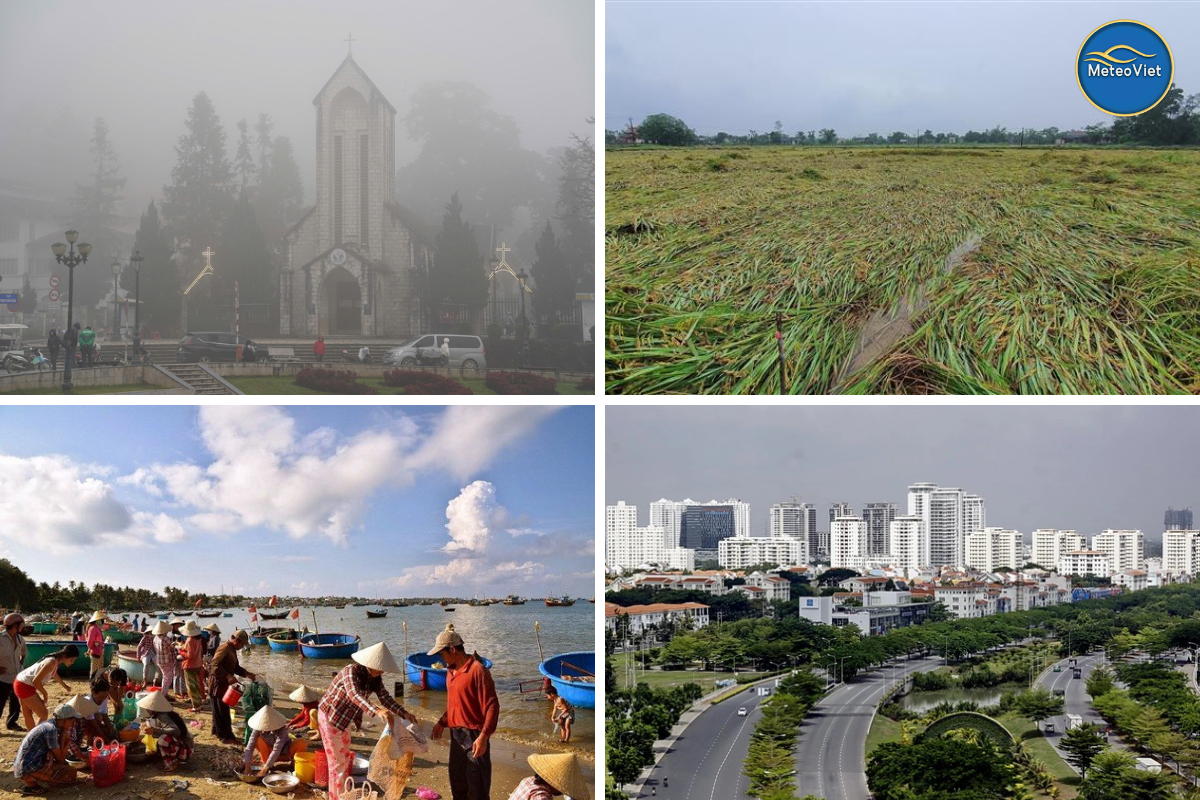 MeteoViet: Nỗ lực đưa dự báo thời tiết chi tiết đến cấp địa phương bằng AI và dữ liệu chính thống. - ảnh 1