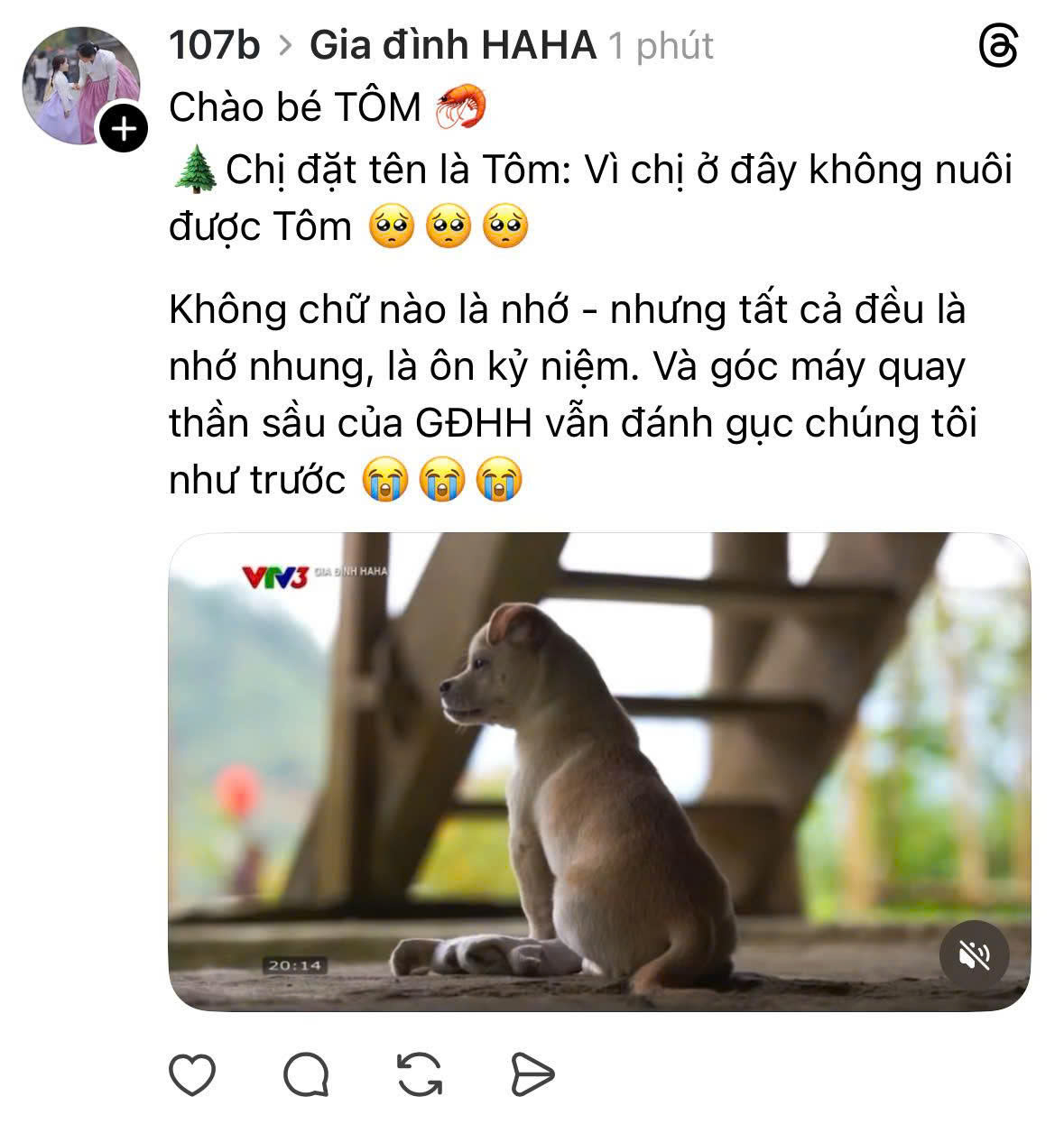 “Gia Đình Haha” trở lại, ấm áp tình làng nghĩa xóm tại mùa đông Bản Liền - ảnh 10