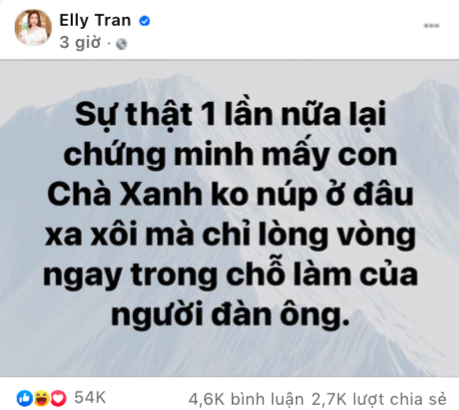 Elly Trần chia sẻ quan điểm về 'trà xanh'.