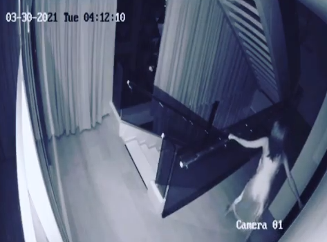 Camera an ninh ghi lại cảnh Ngọc Trinh phát hiện nhà có trộm lúc rạng sáng.