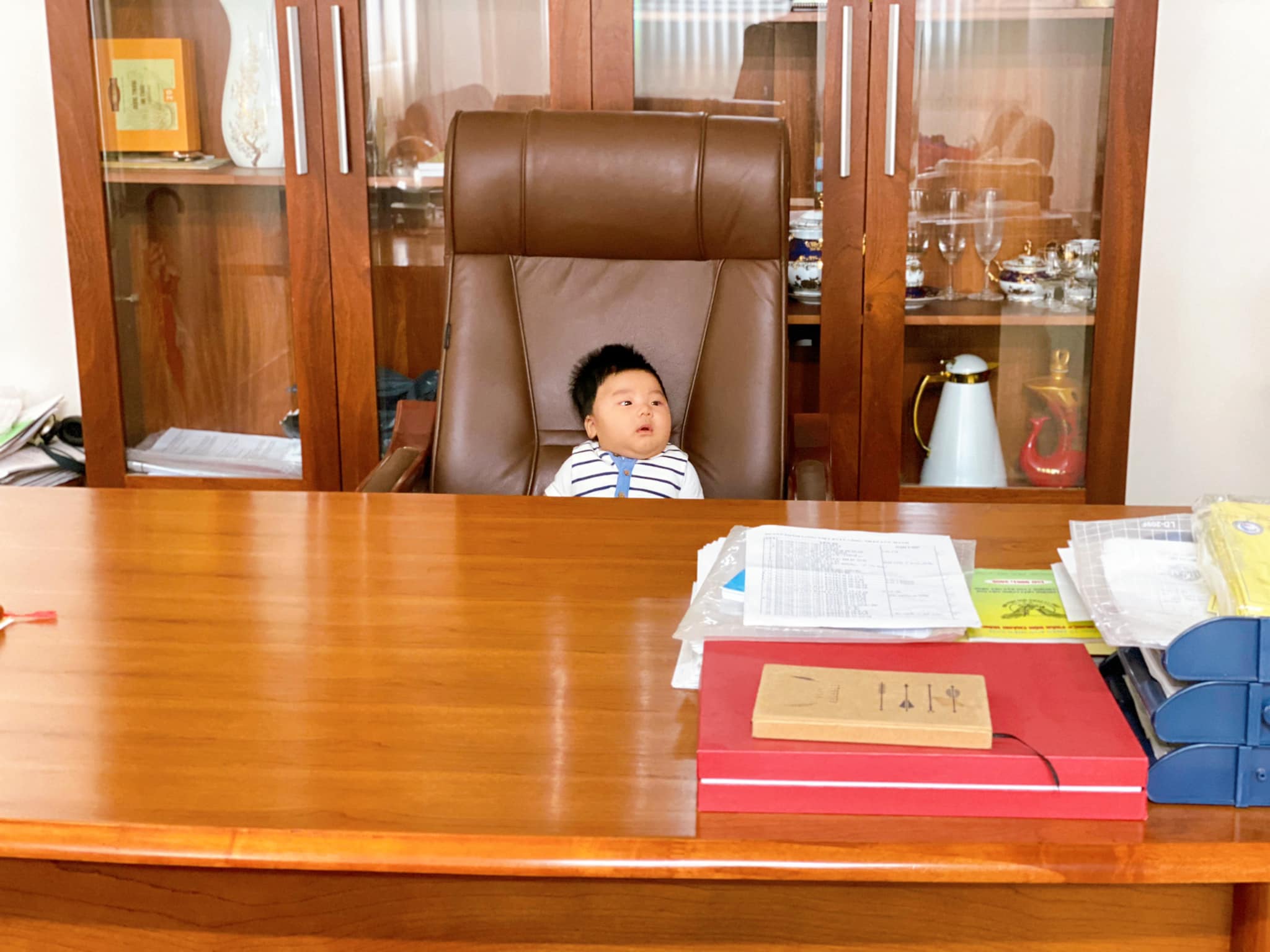 Bo khi 3 tháng tuổi đã ngồi vào chiếc ghế Tổng giám đốc của công ty nhà 