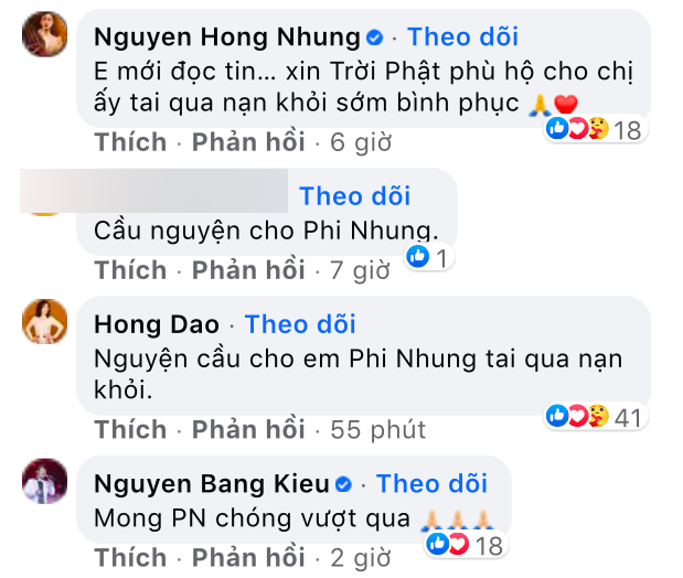 Sao Việt và người hâm mộ cầu nguyện cho ca sĩ Phi Nhung vượt qua bệnh tật - ảnh 8