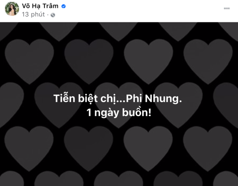 Nghệ sĩ Việt bàng hoàng tiếc thương khi hay tin ca sĩ Phi Nhung qua đời vì Covid-19 - ảnh 17