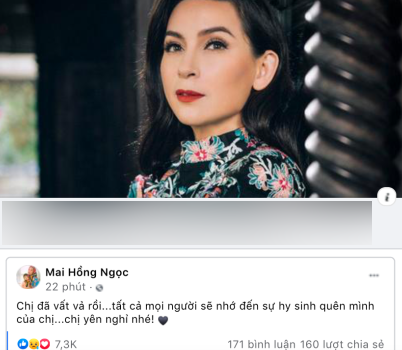 Nghệ sĩ Việt bàng hoàng tiếc thương khi hay tin ca sĩ Phi Nhung qua đời vì Covid-19 - ảnh 8