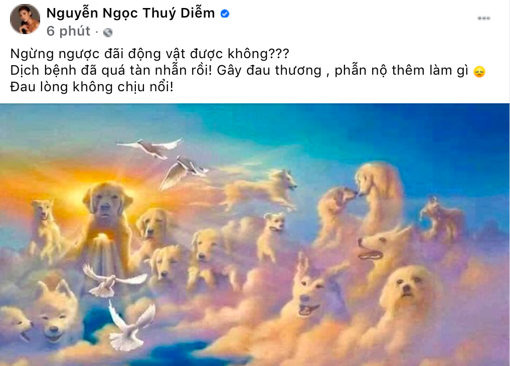 Sao Việt xót xa việc 15 chú chó về Cà Mau bị tiêu huỷ do chủ dương tính với Covid-19
