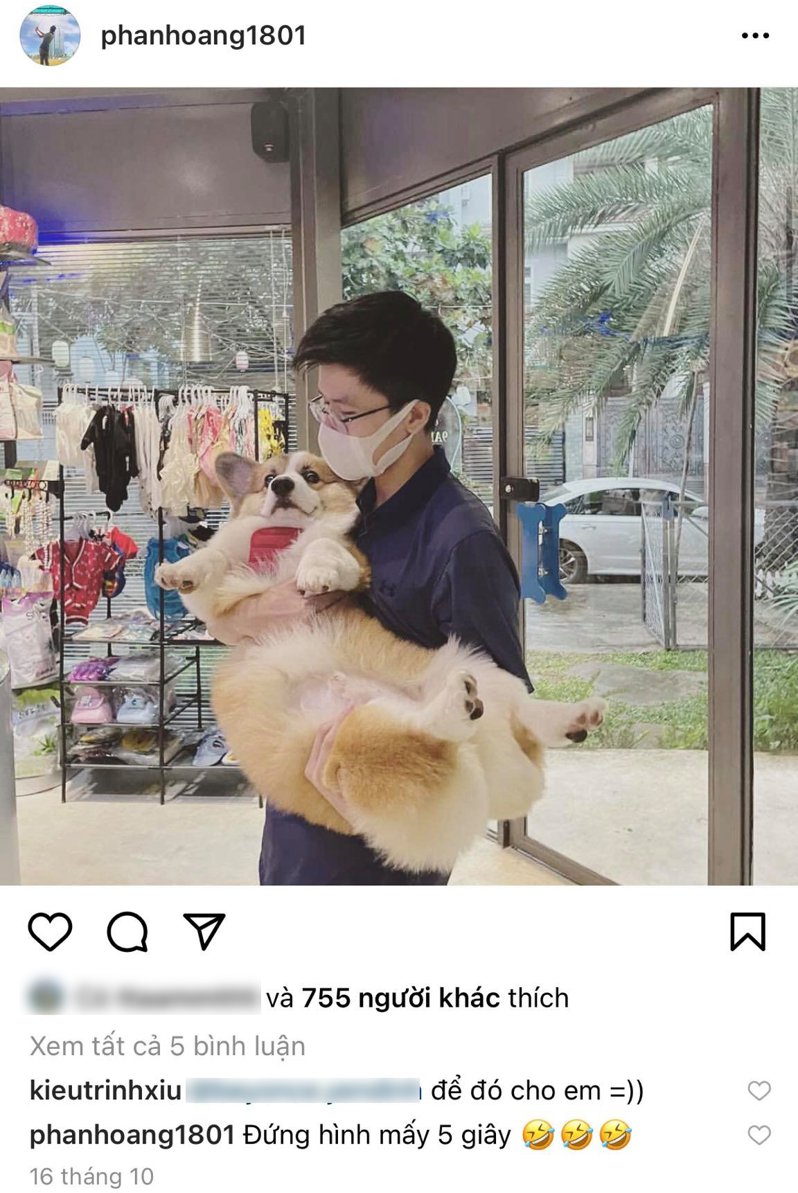 Kiều Trinh Xíu và Phan Hoàng cùng nuôi chung cún cưng và có tương tác thân mật trên mạng xã hội