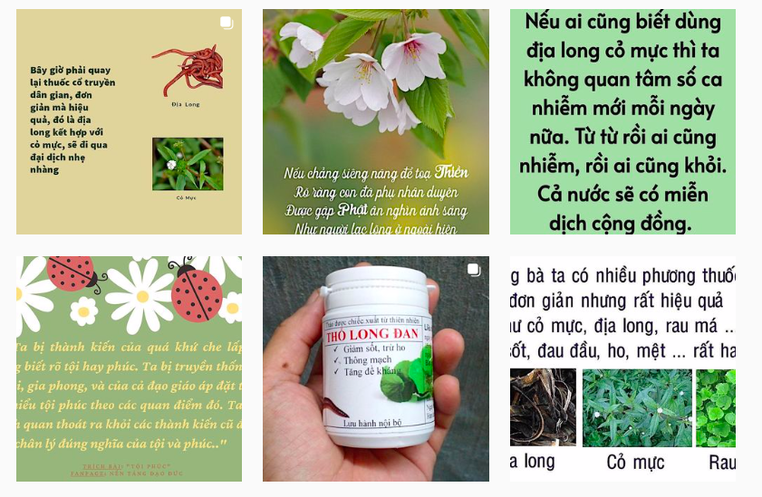 Angela Phương Trinh liên tục đăng tải hình ảnh và thông tin về công dụng của địa long dù chưa được Bộ Y tế công bố
