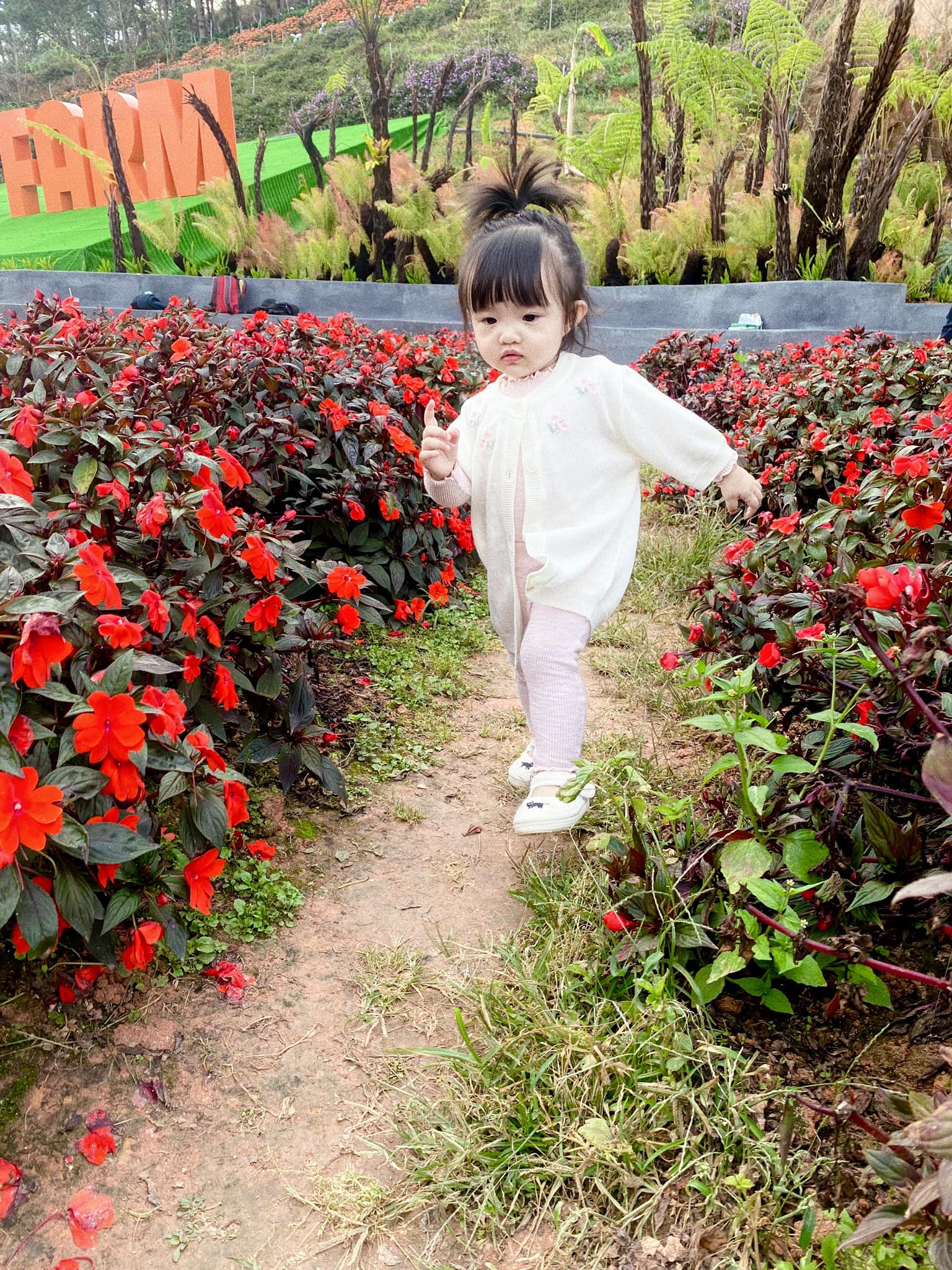 Winnie thích thú khám phá mọi thứ xung quanh khi lần đầu được lên thành phố mù sương