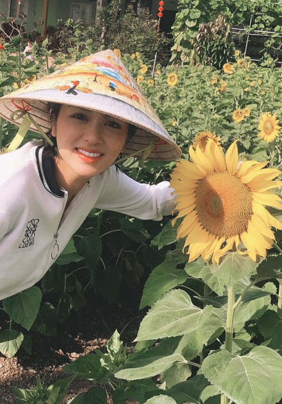 Ngắm vườn hoa hướng dương 5.000 cây của Hoa hậu Oanh Yến