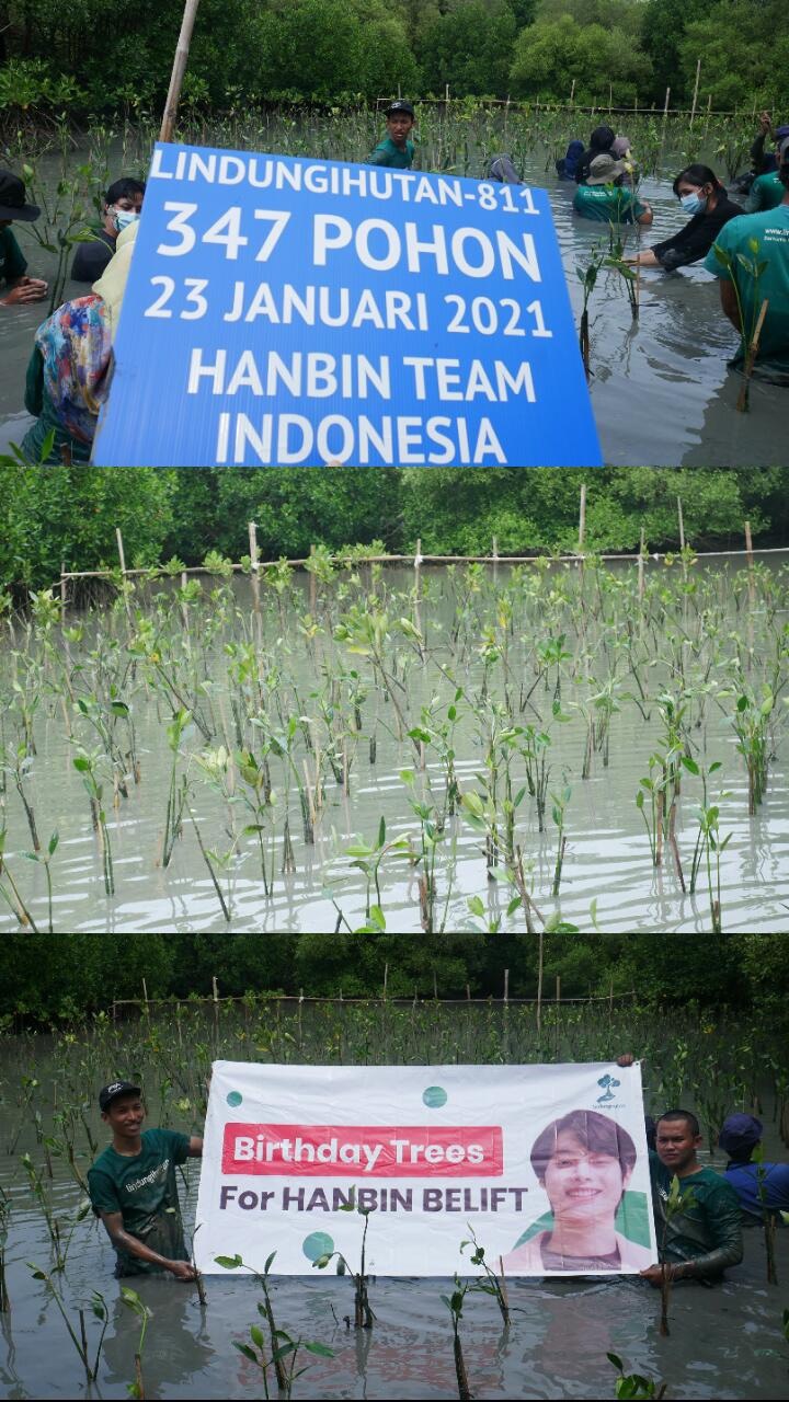 Fan Indonesia trồng cây mừng sinh nhật Hanbin. 