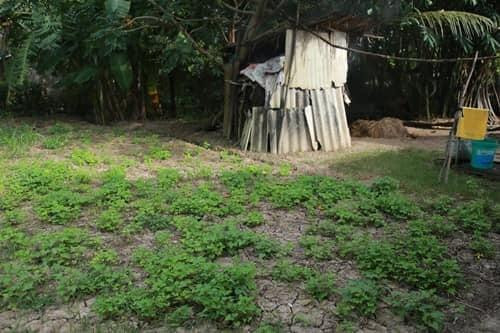 Thực hư căn nhà cấp 4 của Hồ Văn Cường được dân mạng xôn xao giữa bão thị phi