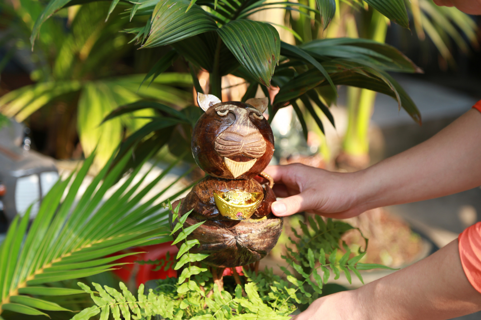 Loạt bonsai  dừa tạo hình linh vật hổ năm Nhâm Dần 2022 có 'ánh mắt phán xét' gây sốt - ảnh 1