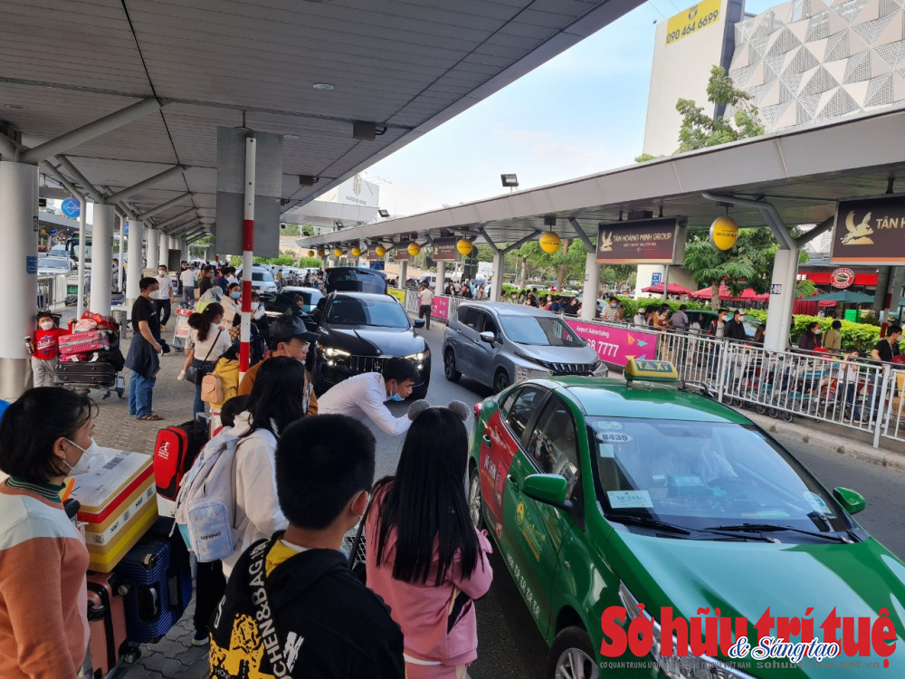 Vì sao hành khách bị chặt chém khi bắt xe trong sân bay Tân Sơn Nhất?