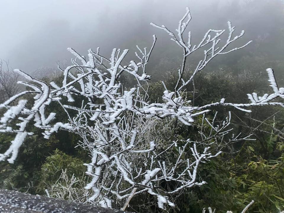 Băng tuyết xuất hiện tại đỉnh Mẫu Sơn, lạnh giá nhưng tuyệt đẹp - ảnh 11