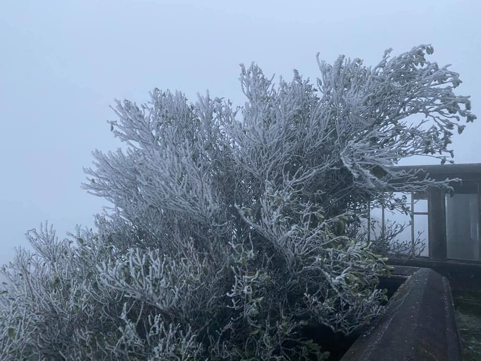 Băng tuyết xuất hiện tại đỉnh Mẫu Sơn, lạnh giá nhưng tuyệt đẹp - ảnh 2