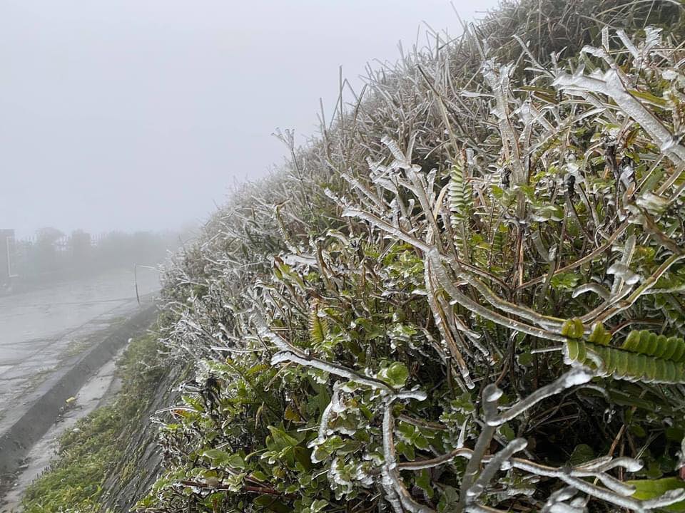 Băng tuyết xuất hiện tại đỉnh Mẫu Sơn, lạnh giá nhưng tuyệt đẹp - ảnh 10