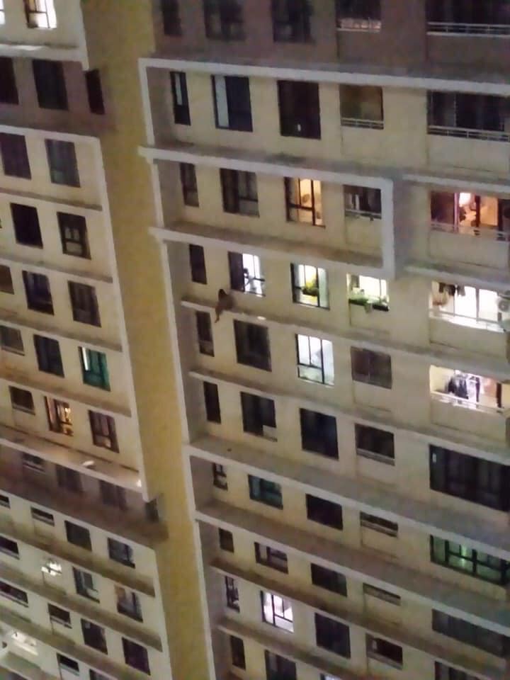 Cô gái leo ra ban công chung cư cao tầng ngồi vắt vẻo?