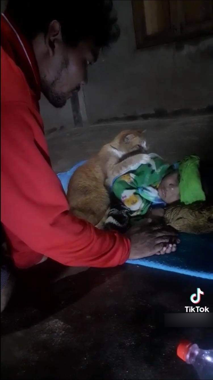 Chú mèo thay ông bố đơn thân nằm an ủi cậu chủ bị ốm, có tâm đến mức sờ chân lên trán kiểm tra thân nhiệt