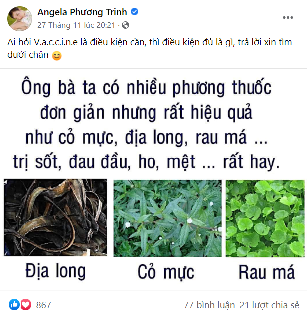 Angela Phương Trinh nhiều lần chia sẻ về tác dụng giúp chữa bệnh của giun đất.