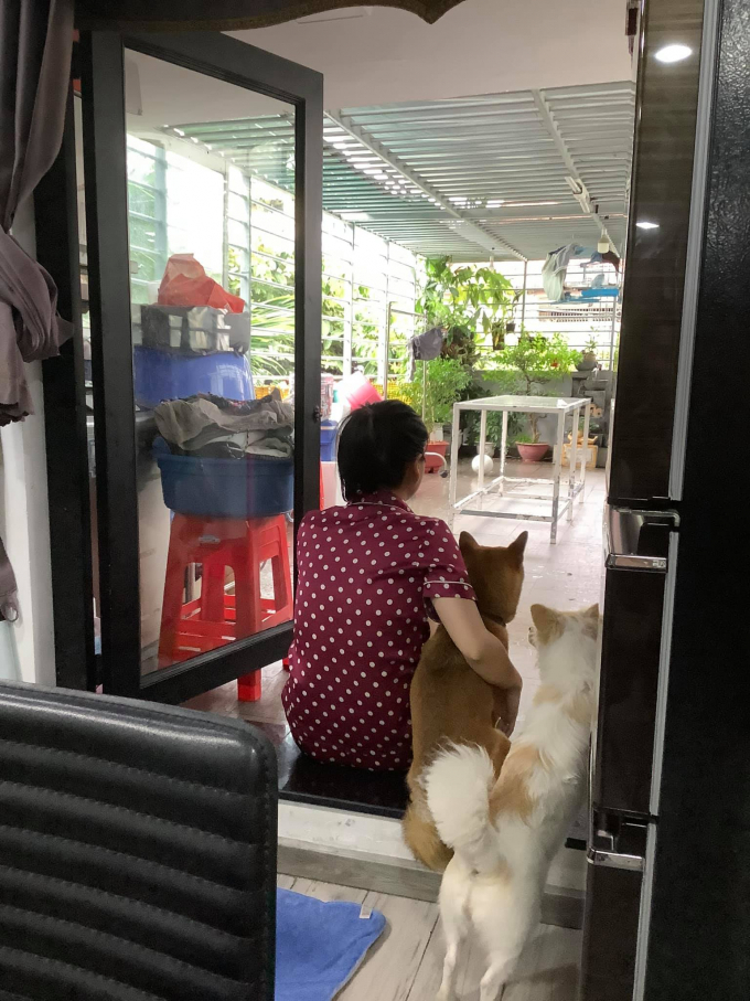 Lâm Vỹ Dạ bị lạc mất thú cưng đúng ngày mùng 5 Tết, CĐM chia buồn mong sớm tìm được chú chó Lâm Vỹ Dạ bị lạc mất thú cưng đúng ngày mùng 5 Tết, CĐM chia buồn mong sớm tìm được chú chó