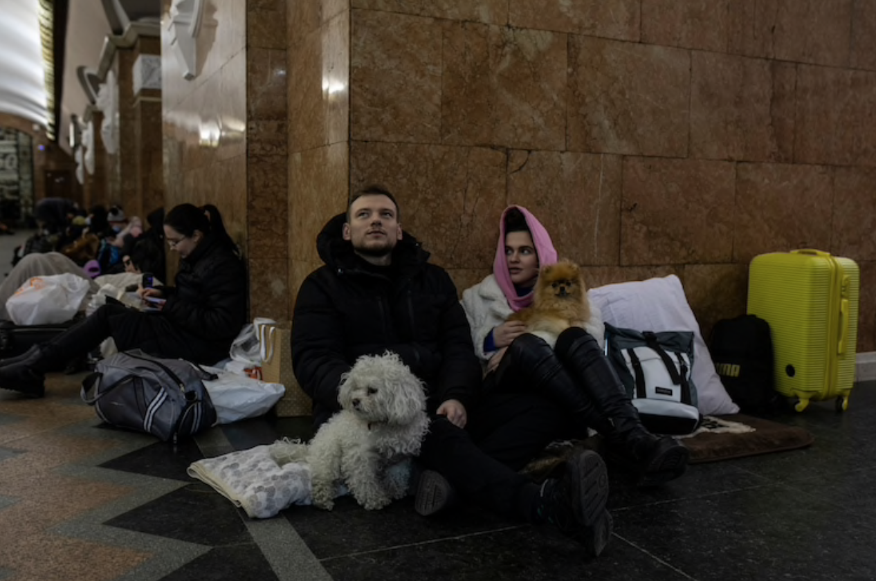 Khoảnh khắc cảm động giữa người dân Ukraine và thú cưng: Dù “chạy nạn” vẫn kè kè theo “boss”