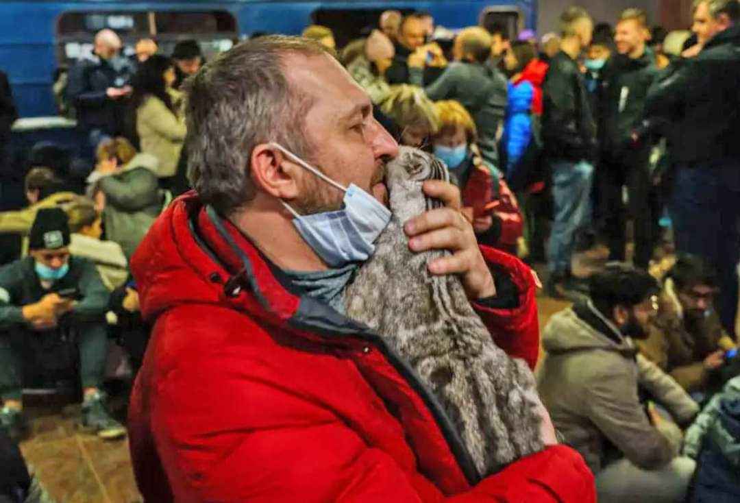 Khoảnh khắc cảm động giữa người dân Ukraine và thú cưng: Dù “chạy nạn” vẫn kè kè theo “boss” Khoảnh khắc cảm động giữa người dân Ukraine và thú cưng: Dù “chạy nạn” vẫn kè kè theo “boss”