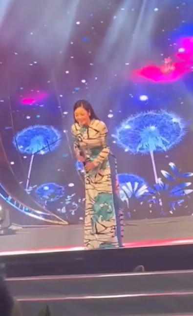 Hình ảnh nữ ca sĩ Hà Thanh Xuân trên sân khấu