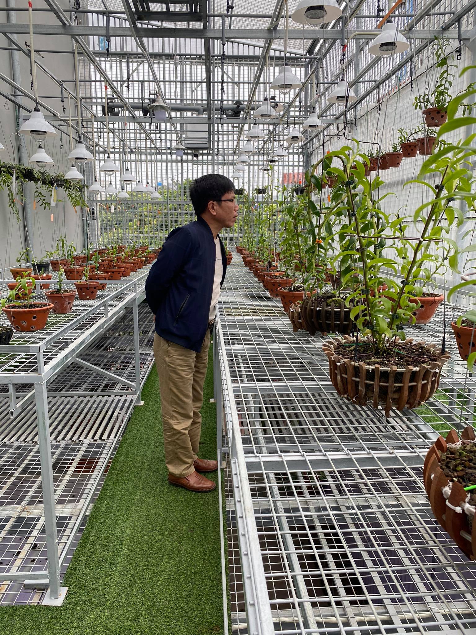 Ông chủ vườn lan đột biến Lê Thành Dư chia sẻ chuyện khởi nghiệp