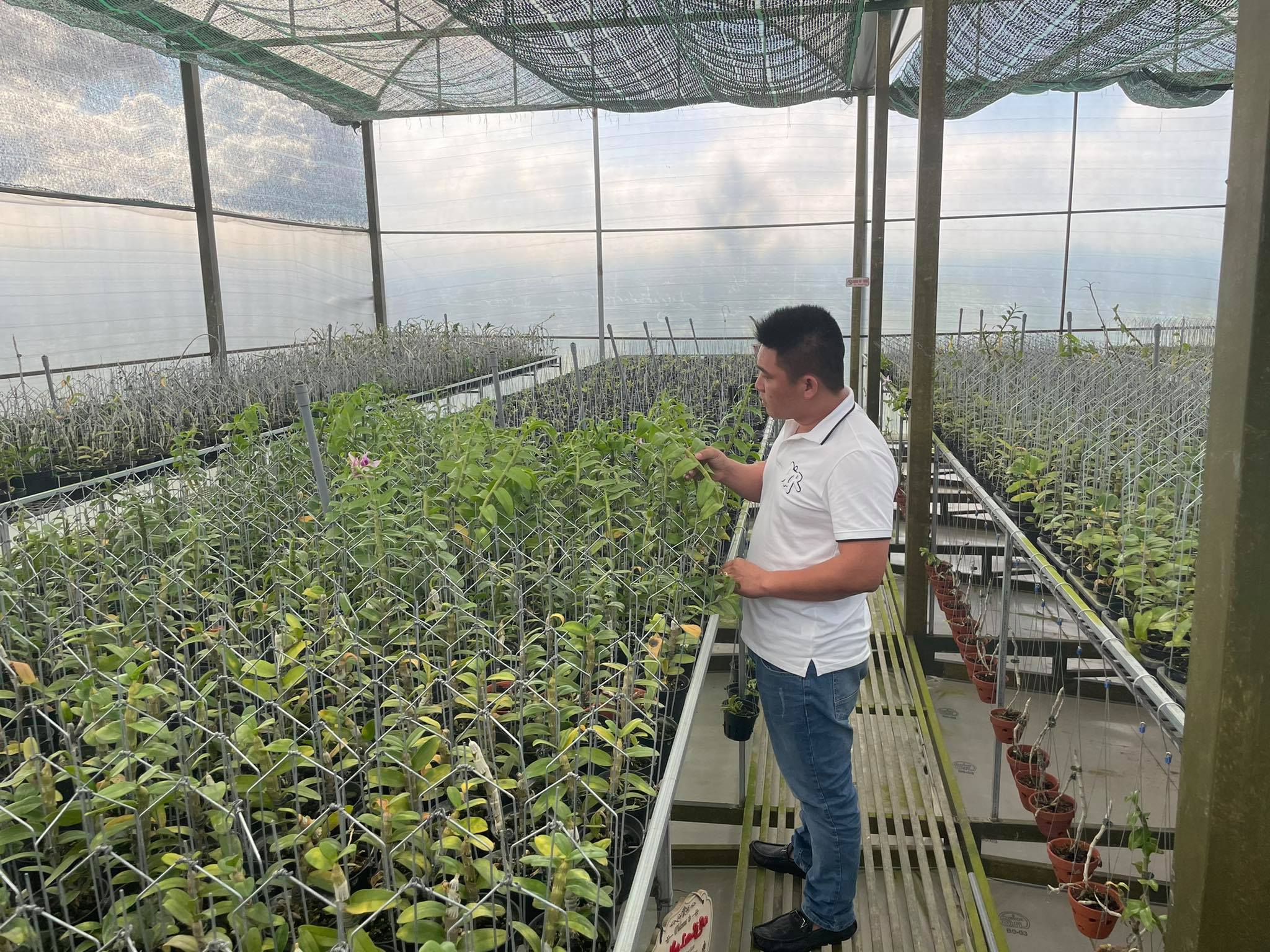 Khởi nghiệp nhiều gian nan, Lê Văn Nam sở hữu vườn lan đáng mơ ước