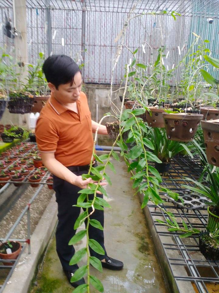 Ông chủ vườn lan nổi tiếng Mạnh Hùng chia sẻ kinh nghiệm trồng lan - ảnh 5