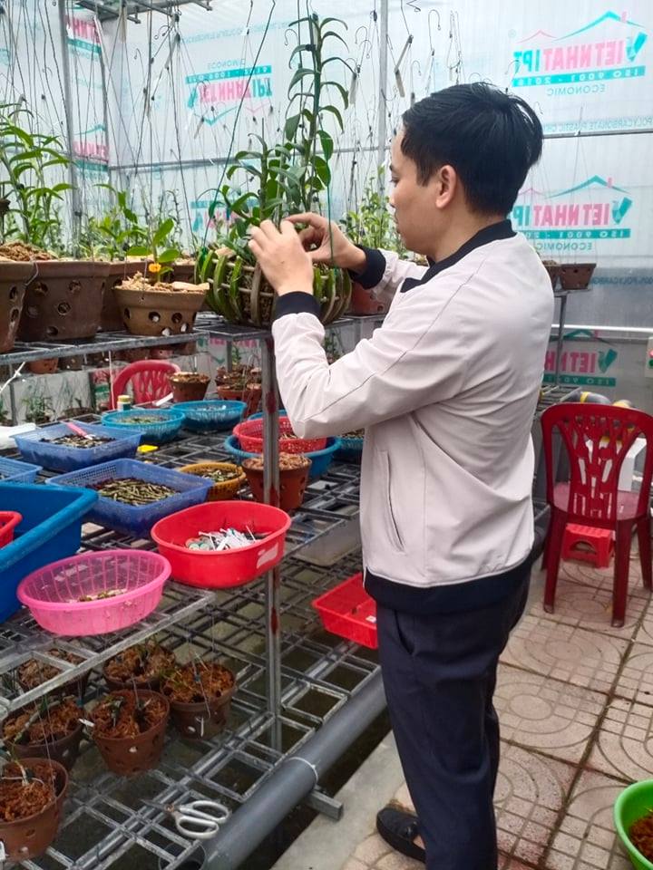 Ông chủ vườn lan nổi tiếng Mạnh Hùng chia sẻ kinh nghiệm trồng lan - ảnh 4