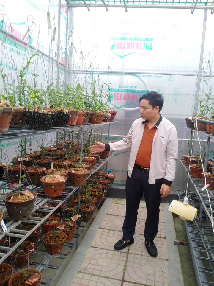 Ông chủ vườn lan nổi tiếng Mạnh Hùng chia sẻ kinh nghiệm trồng lan - ảnh 3