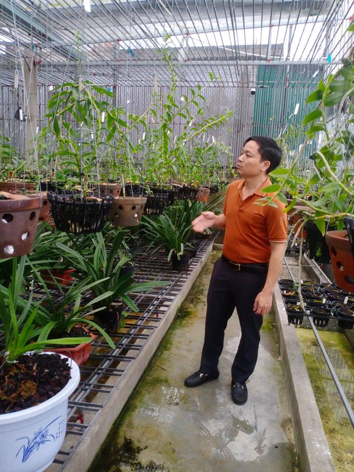 Ông chủ vườn lan nổi tiếng Mạnh Hùng chia sẻ kinh nghiệm trồng lan - ảnh 1