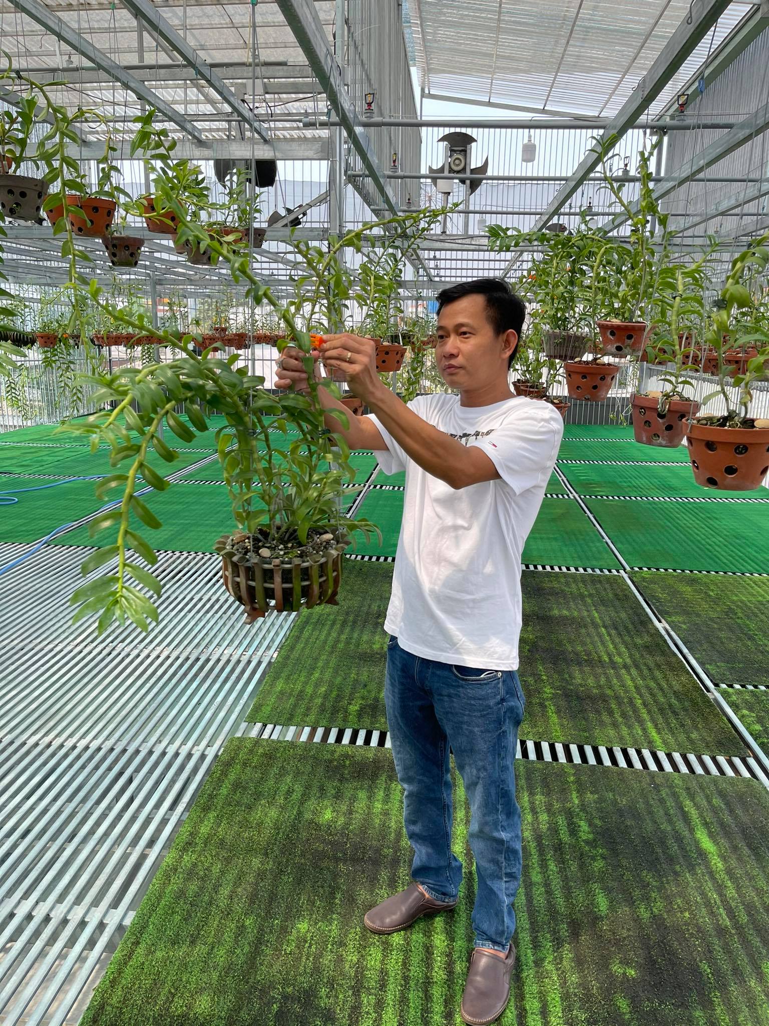 Câu chuyện thành công với vườn lan khủng của Phạm Minh Minh
