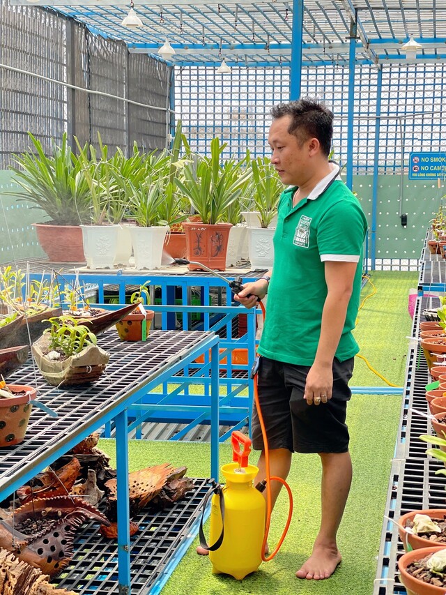 Nghệ nhân Trần Tấn Hiền hướng dẫn cách chăm sóc lan Var đúng cách