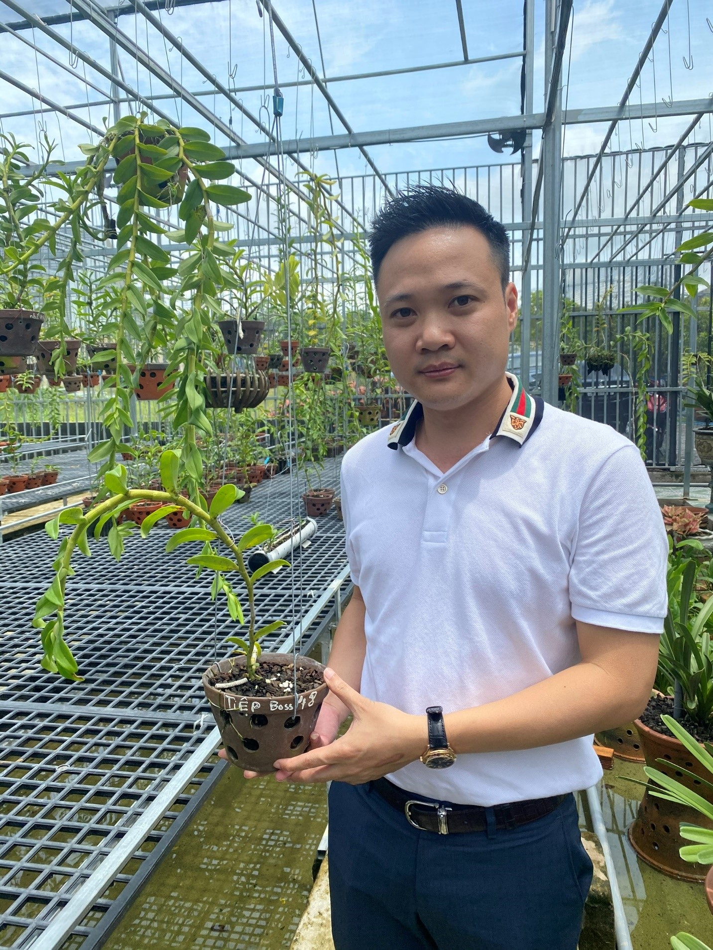 Chàng trai trẻ Nguyễn Tiệp và mô hình trồng và kinh doanh hoa lan độc đáo