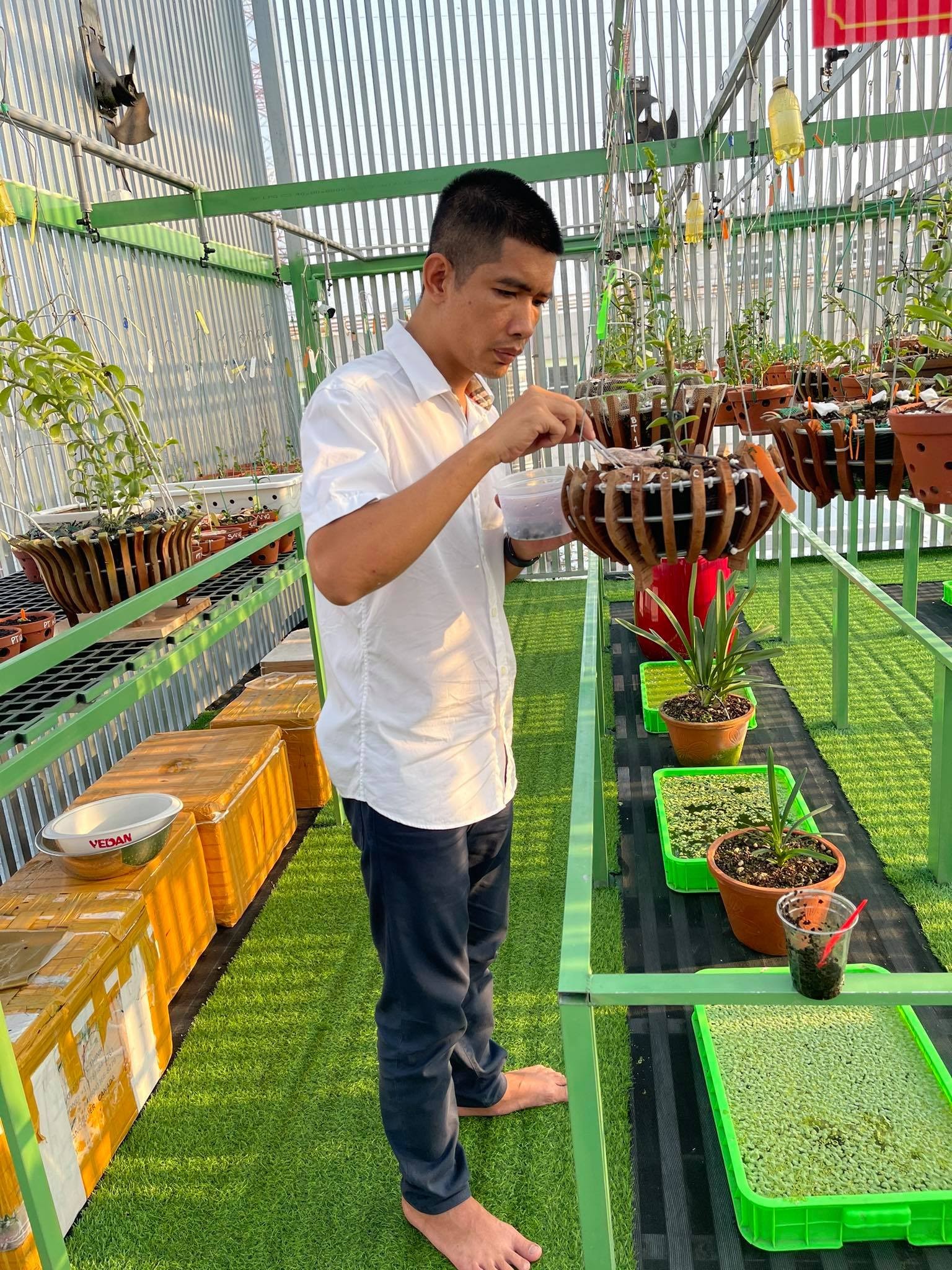 Doanh nhân Lê Cao Thắng và những khó khăn khi bắt đầu với công việc chăm sóc hoa lan Doanh nhân Lê Cao Thắng và những khó khăn khi bắt đầu với công việc chăm sóc hoa lan