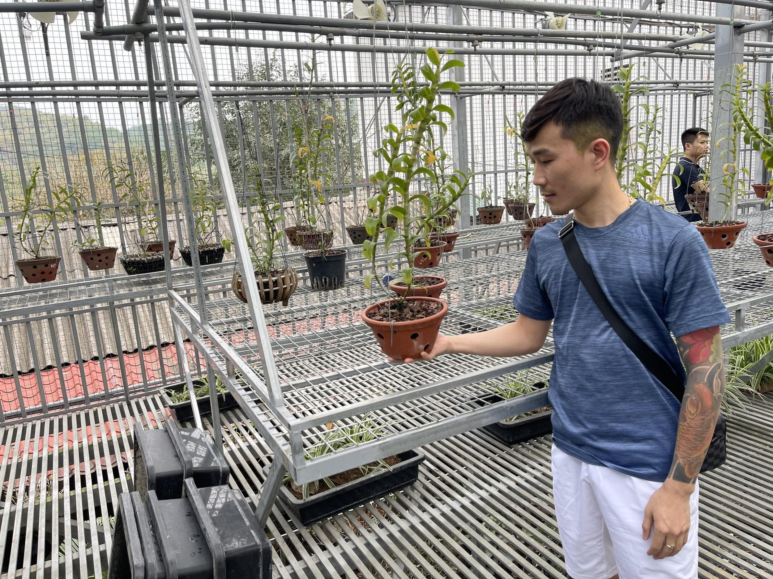 Nghệ nhân Tạ Quang Bộ - Trồng lan rừng thỏa đam mê, kiếm thu nhập đột phá Nghệ nhân Tạ Quang Bộ - Trồng lan rừng thỏa đam mê, kiếm thu nhập đột phá