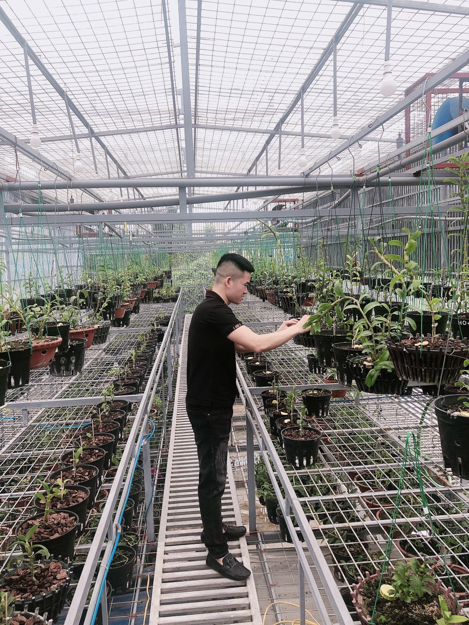 Nghệ nhân Trần Quang Đồng và câu chuyện khởi nghiệp với nghề trồng lan