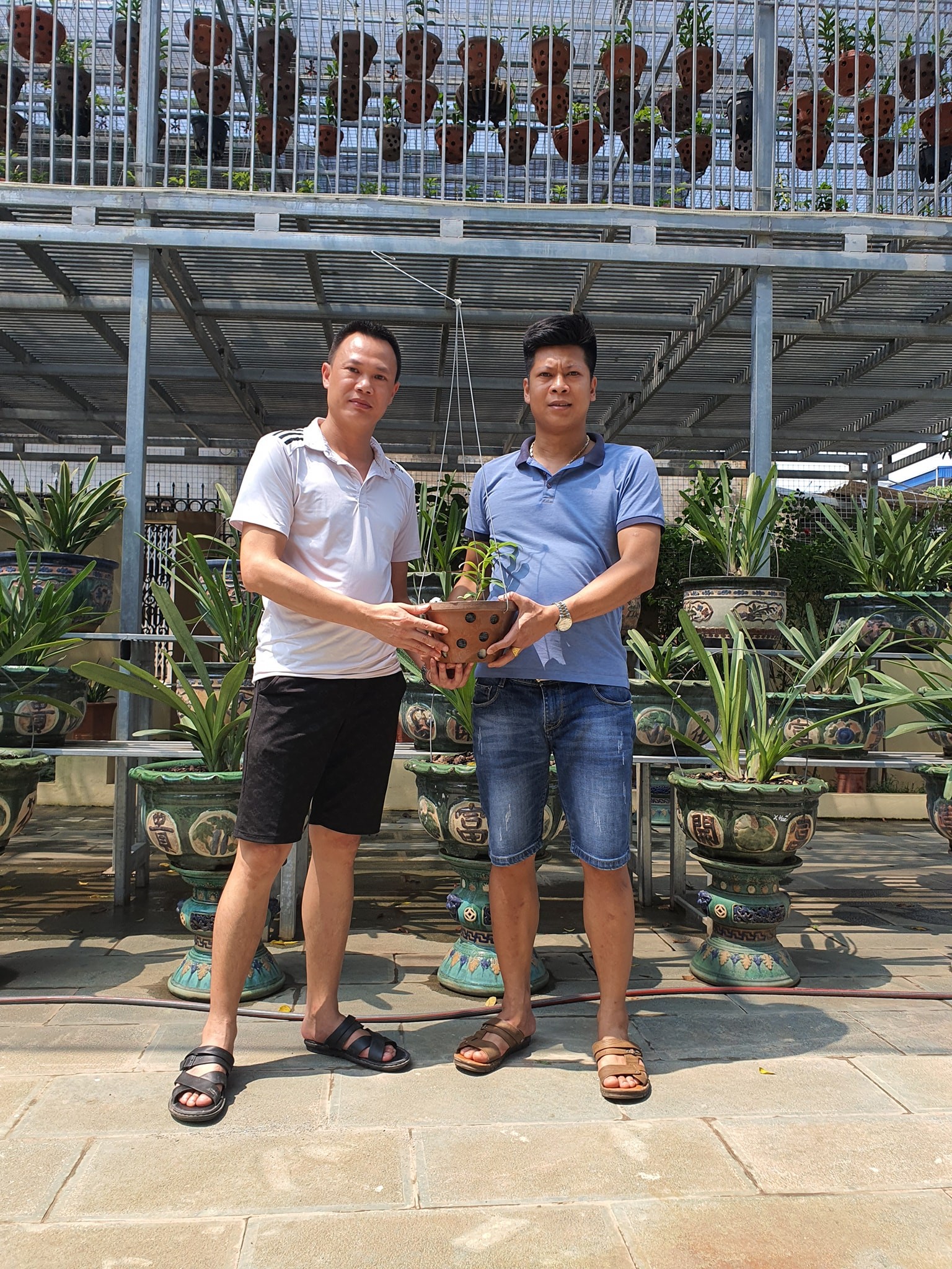 Nghệ nhân Nguyễn Tuấn Trung chia sẻ cách trồng và chăm sóc hoa lan đột biến