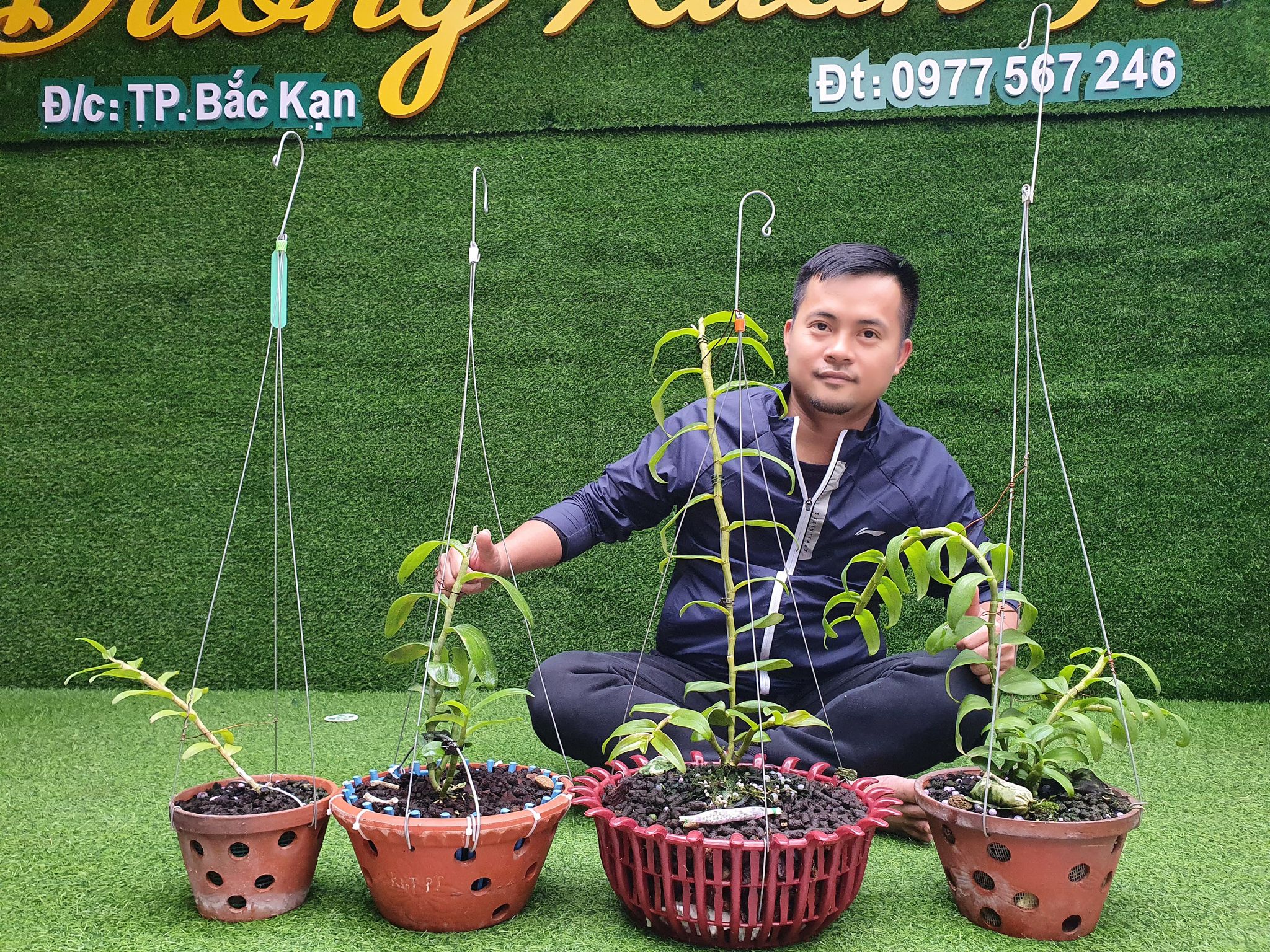 Ông chủ vườn lan Dương Xuân Tú – Người bỏ việc ngành Y để trồng lan - ảnh 3