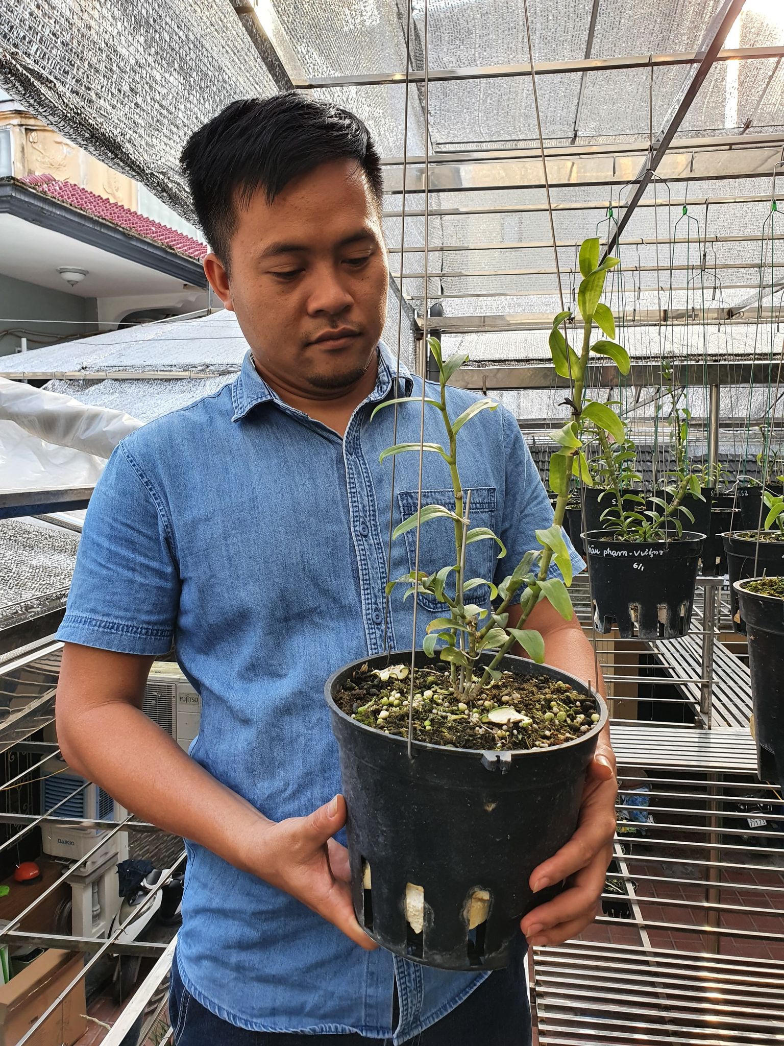 Ông chủ vườn lan Dương Xuân Tú – Người bỏ việc ngành Y để trồng lan - ảnh 5